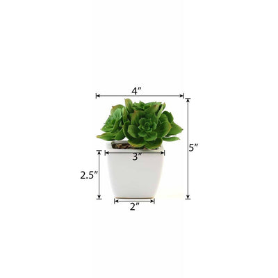 Set of 3 | 5'' Assorted Mini Echeveria Artificial Plants with Pots