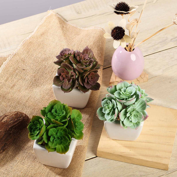 Set of 3 | Assorted Fake Succulents in Pot | 5'' Assorted Mini Echeveria Artificial Plants with Pots