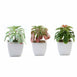 Set of 3 | 5'' Assorted Echeveria or Grape Artificial Plants with Pots