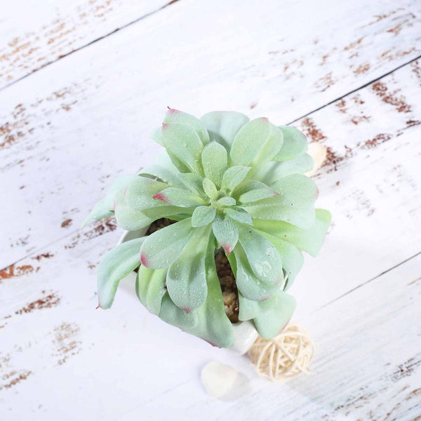 Set of 3 | 5'' Assorted Echeveria or Grape Artificial Plants with Pots