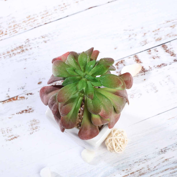 Set of 3 | 5'' Assorted Echeveria or Grape Artificial Plants with Pots