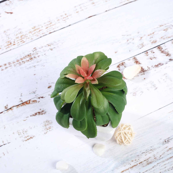 Set of 3 | 5'' Assorted Echeveria or Grape Artificial Plants with Pots