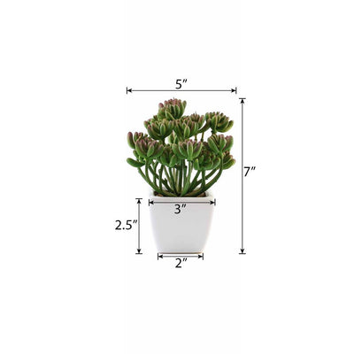 Set of 3 | 7'' Assorted Stonecrop Artificial Plants with Pots