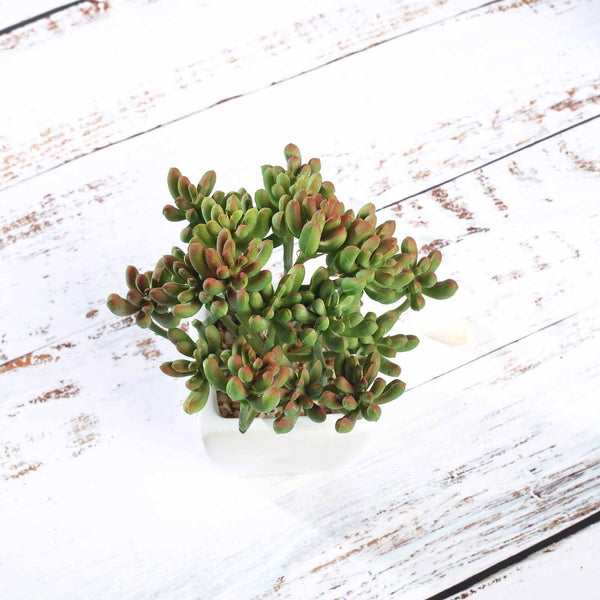 Set of 3 | 7'' Assorted Stonecrop Artificial Plants with Pots