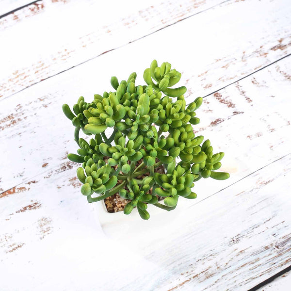 Set of 3 | 7'' Assorted Stonecrop Artificial Plants with Pots