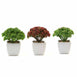 Set of 3 | 6'' Assorted Autumn Joy Sedum Artificial Plants with Pots