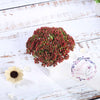 Set of 3 | 6'' Assorted Autumn Joy Sedum Artificial Plants with Pots