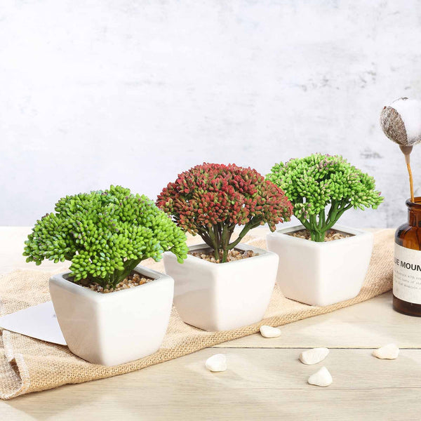Assorted Fake Succulents in Pot | 6'' Assorted Autumn Joy Sedum Artificial Plants with Pots