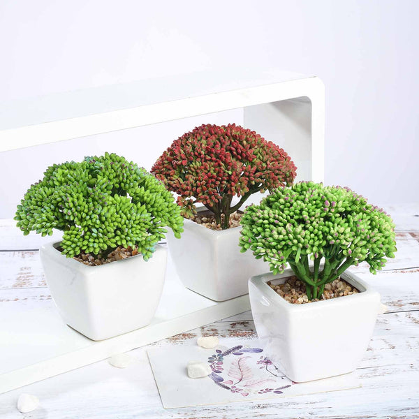 Assorted Fake Succulents in Pot | 6'' Assorted Autumn Joy Sedum Artificial Plants with Pots