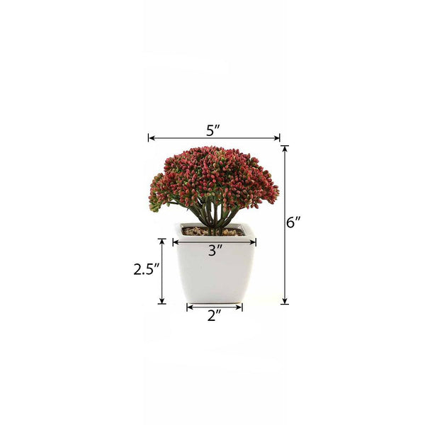 Set of 3 | 6'' Assorted Autumn Joy Sedum Artificial Plants with Pots