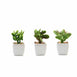 Set of 3 | 3'' Assorted Green Mini Artificial Plants with Pots