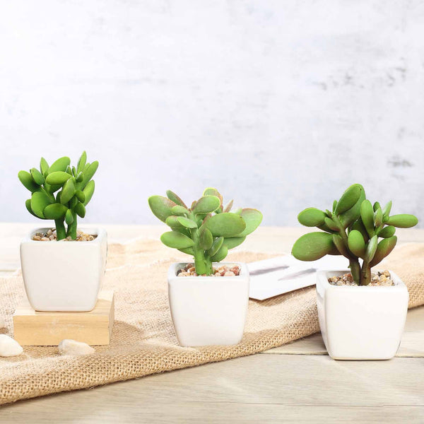 Set of 3 | 3'' Assorted Green Mini Artificial Plants with Pots