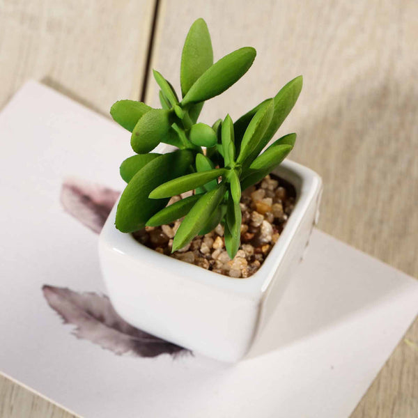 Set of 3 | 3'' Assorted Green Mini Artificial Plants with Pots