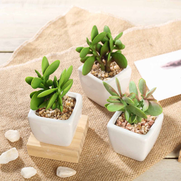 Set of 3 | Assorted Fake Succulents in Pot | 3'' Assorted Green Mini Artificial Plants with Pots