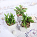 Set of 3 | Assorted Fake Succulents in Pot | 3'' Assorted Green Mini Artificial Plants with Pots