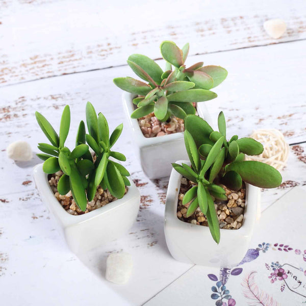 Set of 3 | Assorted Fake Succulents in Pot | 3'' Assorted Green Mini Artificial Plants with Pots