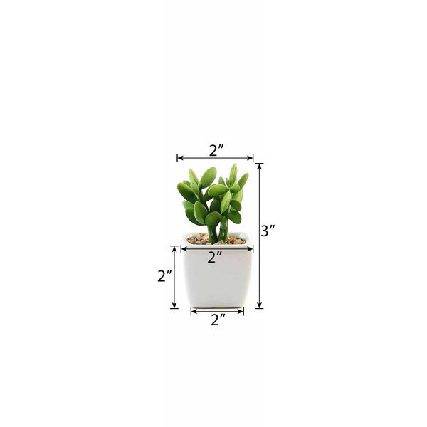 Set of 3 | 3'' Assorted Green Mini Artificial Plants with Pots