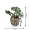 8" Tall - Burro's Tail Artificial Plant - Faux Succulent in Round Concrete Planter