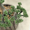 8" Tall - Burro's Tail Artificial Plant - Faux Succulent in Round Concrete Planter