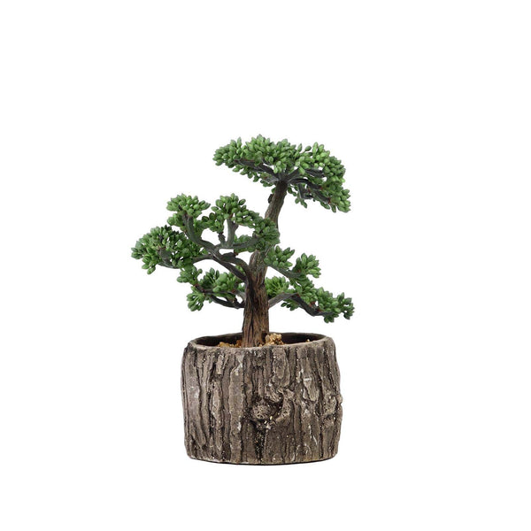 8" Tall - Burro's Tail Artificial Plant - Faux Succulent in Round Concrete Planter#whtbkgd