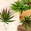 Set of 3 | Multi Colored Fake Succulents | 8" Aloe Cactus Decorative Artificial Plants