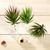 Set of 3 | Multi Colored Fake Succulents | 8" Aloe Cactus Decorative Artificial Plants