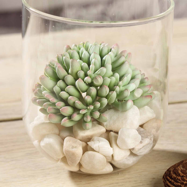 artificial succulents in glass Set of 3