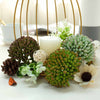 Set of 3 | Multi Colored Fake Succulents | 4" Mini Jelly Bean Decorative Artificial Plants