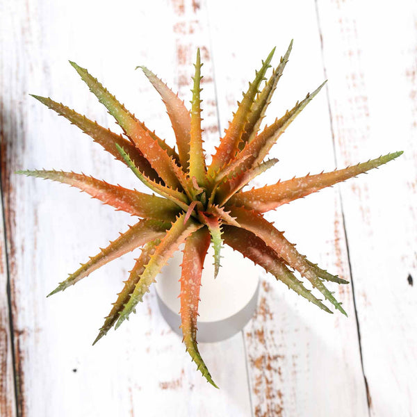 Set of 3 | 12" Multi Colored Artificial Succulent Plants