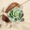 Set of 3 | Multi Colored Fake Succulents | 6" Echeveria Stem Decorative Artificial Plants