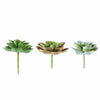 Set of 3 | Multi Colored Fake Succulents | 3" Echeveria Orion Decorative Artificial Plants