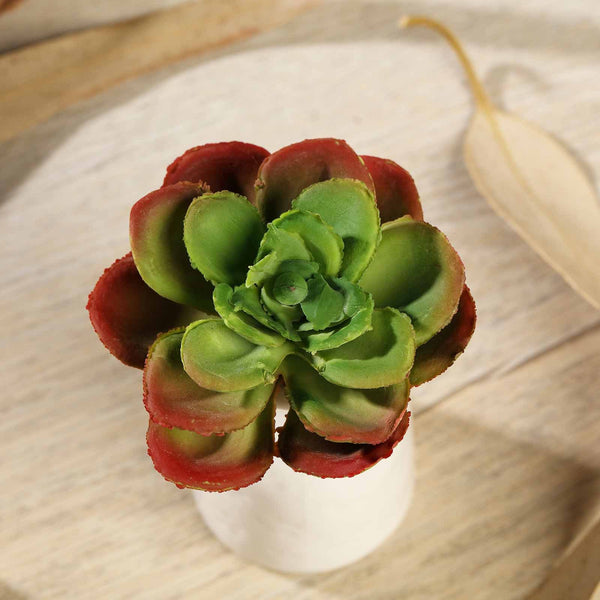 Set of 3 | Multi Colored Fake Succulents | 3" Echeveria Orion Decorative Artificial Plants