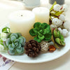 Set of 3 | Multi Colored Fake Succulents | 3" Echeveria Orion Decorative Artificial Plants