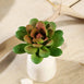 Set of 3 | Multi Colored Fake Succulents | 3" Roundleaf Echeveria Stems Decorative Artificial Plants