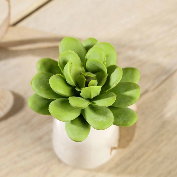 Set of 3 | Multi Colored Fake Succulents | 3" Roundleaf Echeveria Stems Decorative Artificial Plants