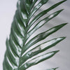 5 Pack | Green Palm Leaf Stems, Artificial Leaves For Hawaiian Luau Party Decoration - Assorted Size