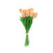 Tulip Bouquet, Wedding Bouquets, Tulip Flower Stem