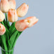Tulip Bouquet, Wedding Bouquets, Tulip Flower Stem