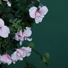 Silk Rhododendron Bush, Artificial Hanging Vines, Artificial Flowers