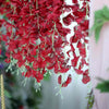 42" Wine Artificial Wisteria Vine - Silk Hanging Flower Garland