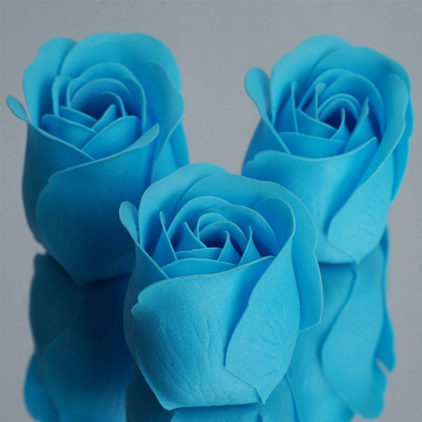 Scented Rose Soap Gift Box - Turquoise