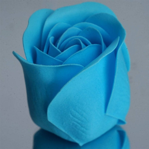 Scented Rose Soap Gift Box - Turquoise