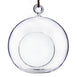 Graceful Globe Glass Terrarium 4/pk