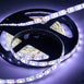 Wholesale 5M Long 300 White LED Waterproof Strip Light 5050 SMD