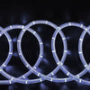 33ft 250 LED White Rope Lights for Garden Patio Party Indoor Outdoor Decoration