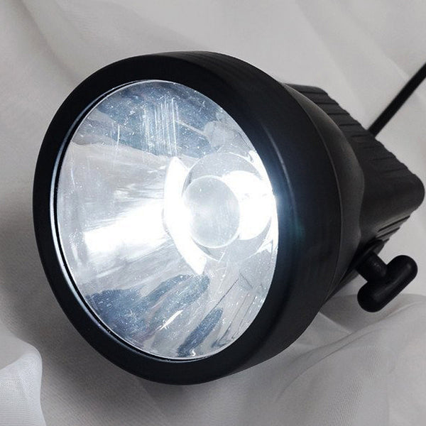 Up Lights (Regal) - White LED