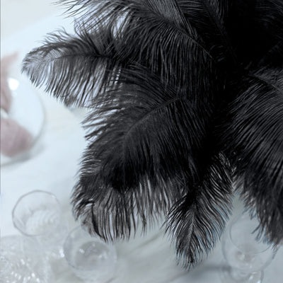 Charcoal Ostrich Feathers – FENG SWAY