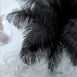 12 Pack | 13"-15" Natural Plume Real Ostrich Feathers Vase Centerpiece - Black