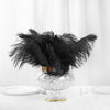 12 Pack | 13"-15" Natural Plume Real Ostrich Feathers Vase Centerpiece - Black