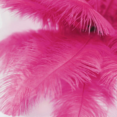 colored ostrich feather wall events photo